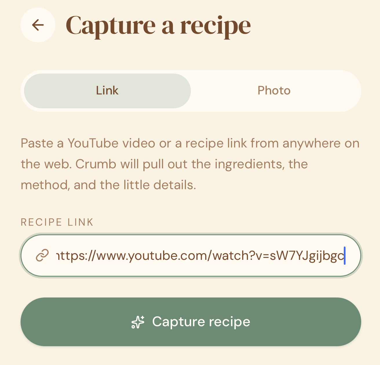 Pasting a YouTube link into Crumb